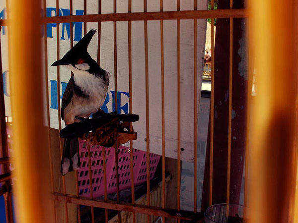 http://www.noranbakrie.com/files/gimgs/22_noranbakriemoonstruck03.jpg